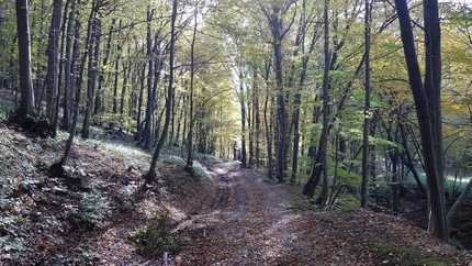 Trúbiaci Kameň – turistika v Sucháni